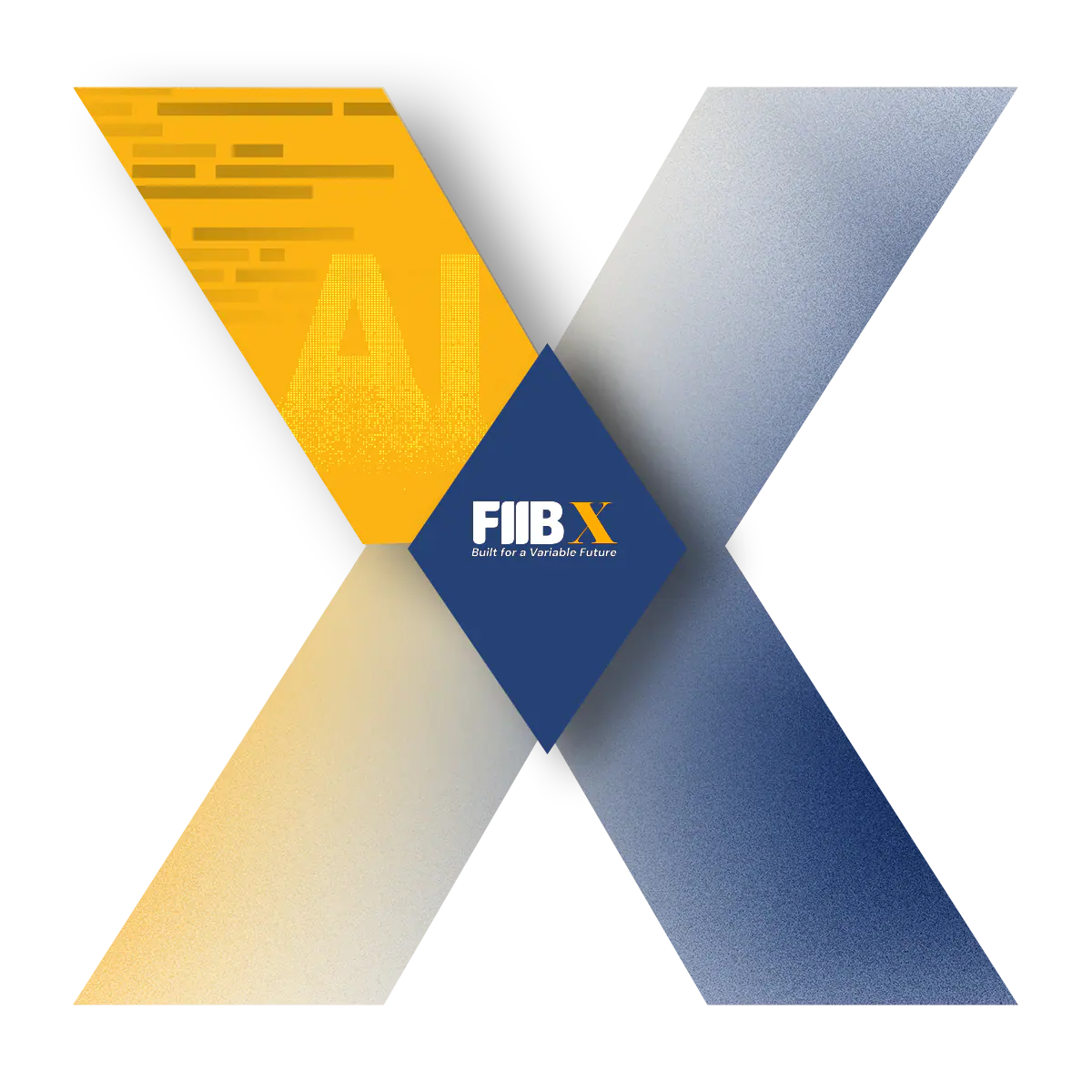 FIIBX capability framework